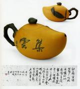 芒果壶